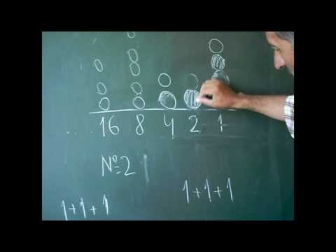 თვლის სისტემები system1 ავლიდი ქარჩავა