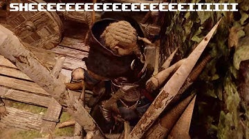 EXTREMELY ANNOYING BUG IN ASSASSIN