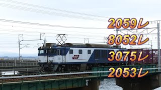 2020/02/29 JR貨物 午前11時台 浜名湖三番鉄橋を渡るカンガルーライナー トヨタロングパスエクスプレス含む貨物列車4本