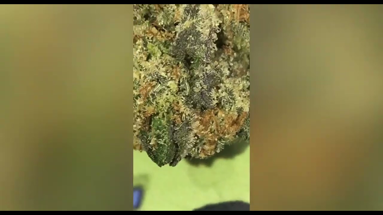 White Strawberry strain review ( Smk Brk 420)