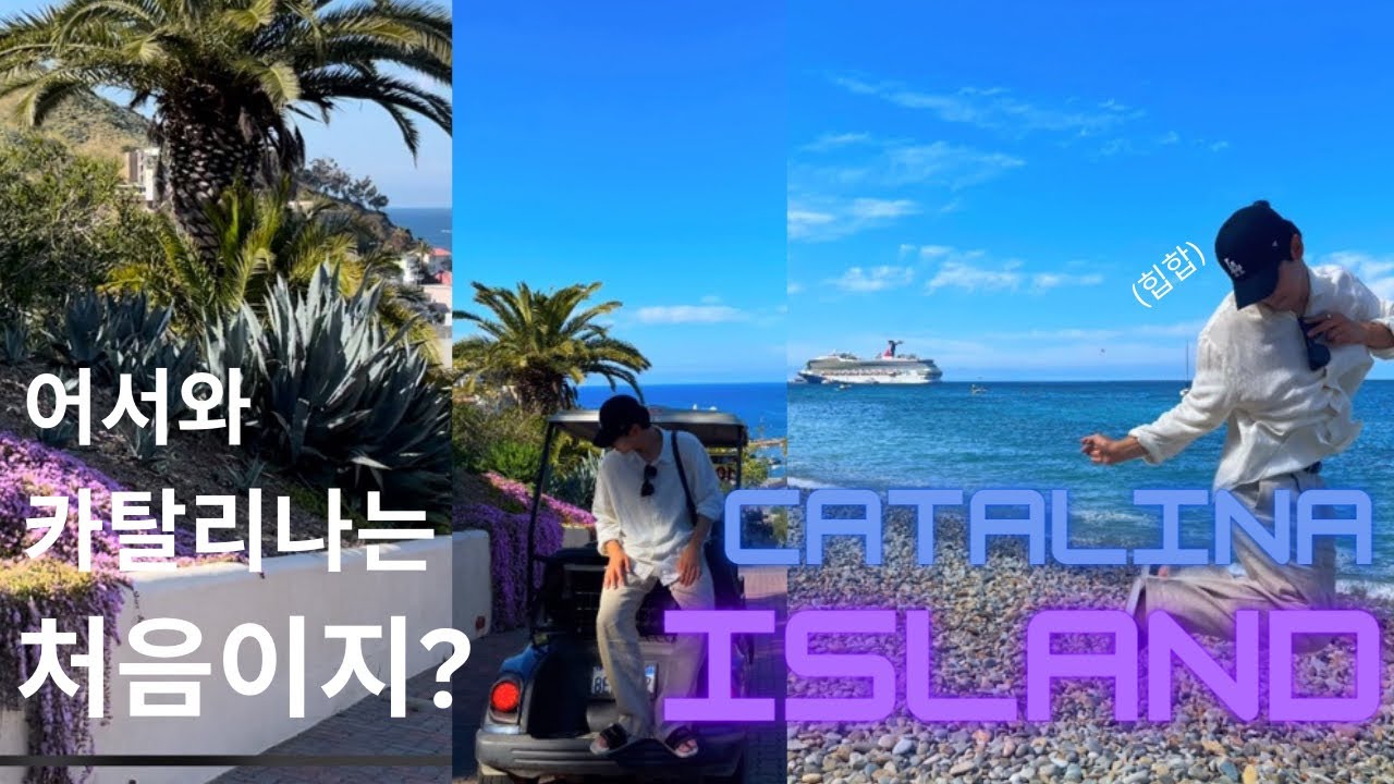[VLOG] 일상 브이로그 | 신비의 섬 카탈리나 아일랜드에 가다? | 카탈리나 섬에서의 액티비티 | 카탈리나에 오신걸 환영합니다 😝 | 미국여행