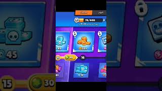 شرينا البراول باس أخيرا