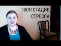 СТРЕСС ТЕСТ // 3 этапа стресса