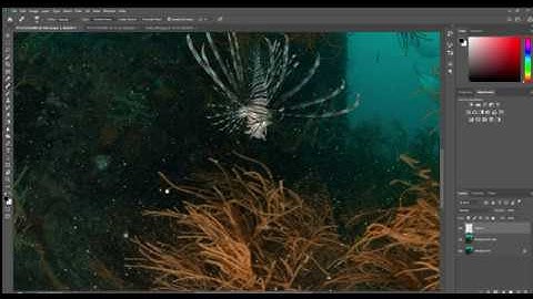 Post-Processing for Beginners: Intermediate Photoshop 1/3