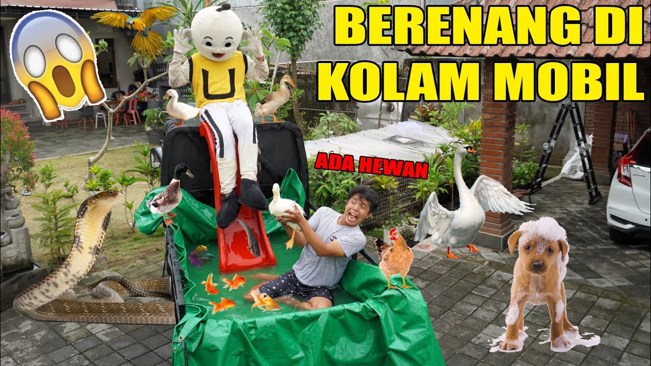 UPlIN BERENANG SAMA HEWAN LUCU DI MOBIL KOLAM RENANG?!