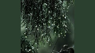 Dribbling Rain