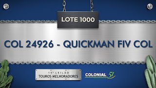 LOTE 1000   QUICKMAN FIV COL