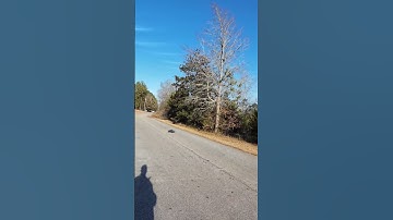 Arrma Notorious V6 Wild One #arrma #rc #toys #