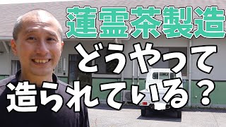 ＜失敗しないお返し・お供え＞　初盆、一周忌、三回忌に蓮霊茶