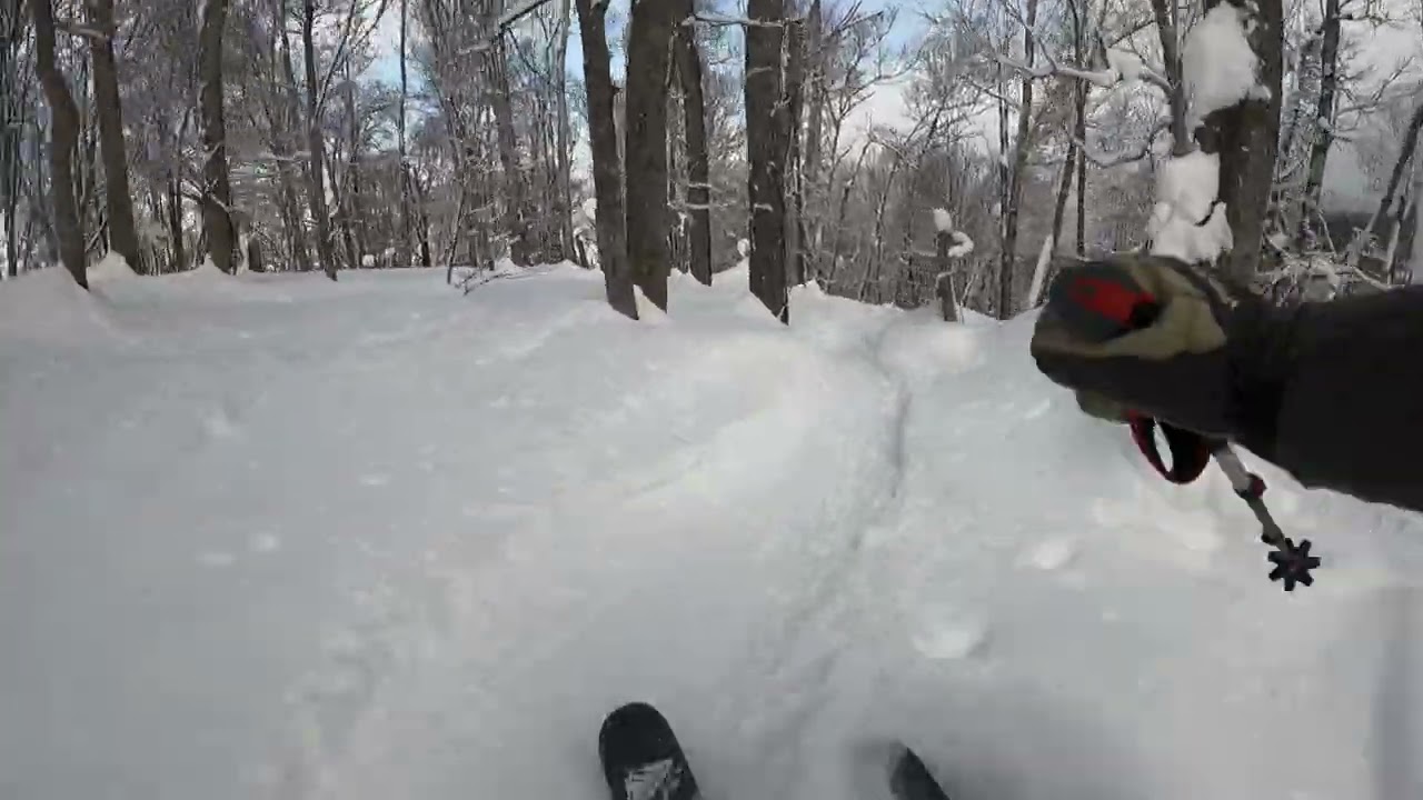 Kamui Ski Links Ski - Japan 9 Feb 2024 