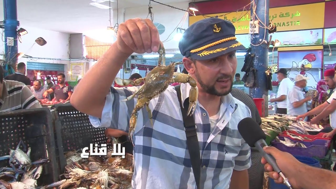 السلطعون المثير للغرابة يكتسح سوق المنستير..يعشقه الفرنسيس والطلاين وكل أوروبا لكنه يخيف التونسيين!!