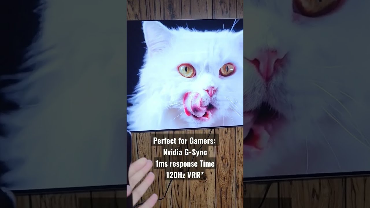LG G2 OLED TV Quick Look Shorts