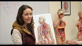 Dr. Sevene Presents CSUMB's Anatomage Virtual Cadaver and Kinesiology Laboratory