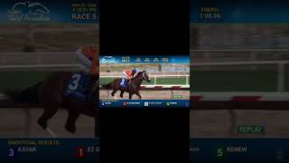 Lyman &amp; Bradley Rollins Stakes. 5th Race April 25, 2026. Turf Paradise