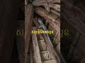 តើបងប្អូនស្គាល់ទេនេះជាសត្វអ្វី