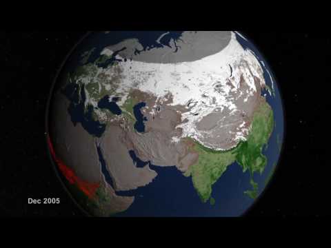 Global Fire Observations and MODIS NDVI