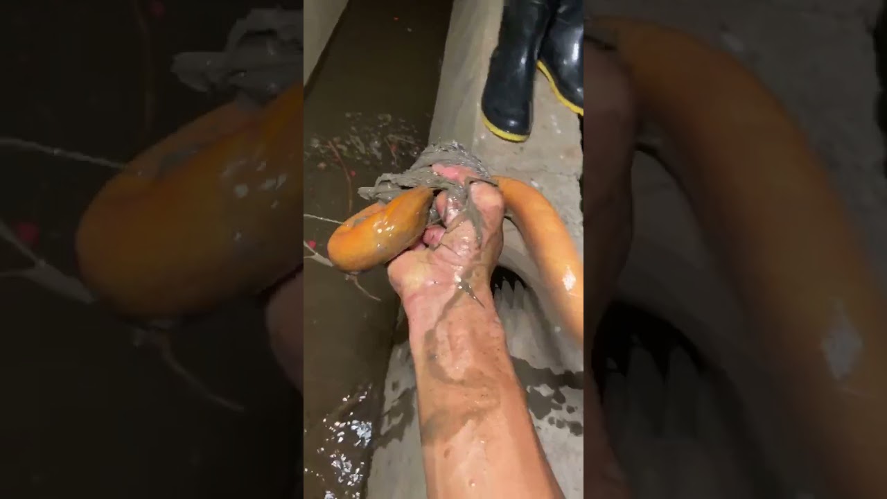 Amazing Fishing Trick You Shoud Watch With Click Trap In 2021 