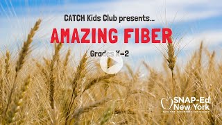 SNAP-Ed NY FIBER IS AMAZING K-2