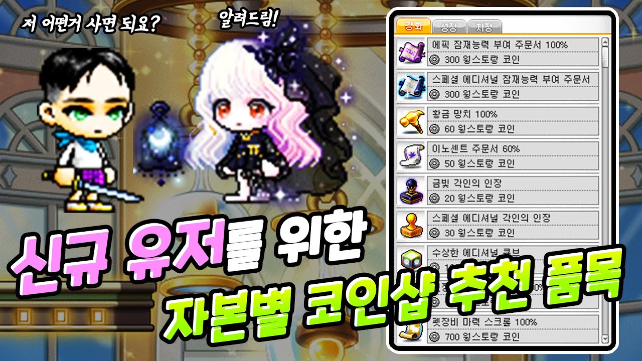 [메이플] 신규 유저를 위한 자본별 코인샵 추천 품목