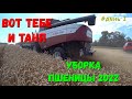 Уборка Пшеницы 2022 в Краснодарском Крае / Уборочная Страда 2022  / Жнива 2022.