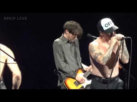 Red Hot Chili Peppers - Can't Stop - Montreal 2012 [Multicam] [1080p]