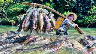 primitive fishing techniques, catching giant catfish for sale, daily life highland girl