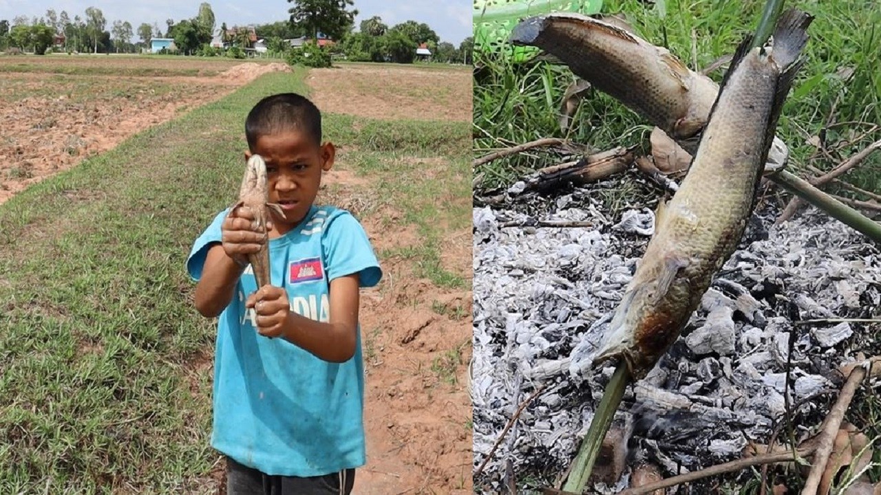 Fishing and cooking fishes at countryside