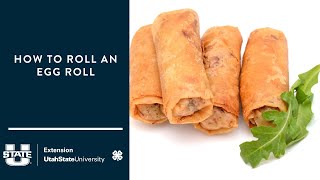 Full How to Roll an Egg Roll Guide