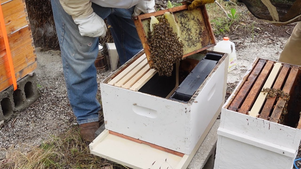 Trap swarm and check the rest! 