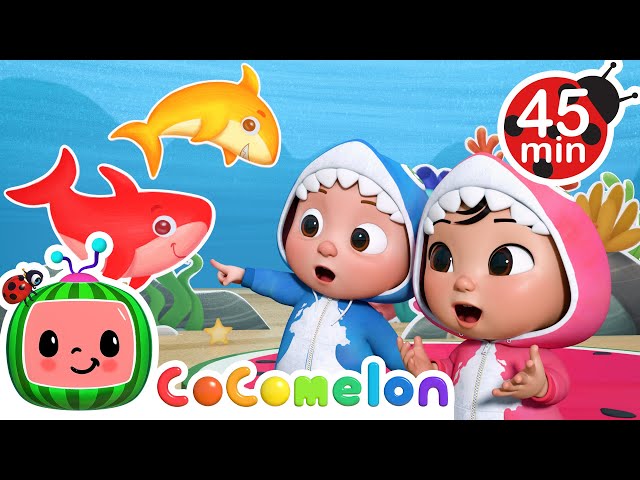 Baby Shark Learns Colors + MORE CoComelon Nursery Rhymes & Kids Songs class=