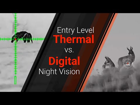 Day Night Scope Vs Thermal Scope