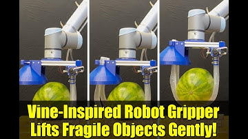 Vine-Inspired Robot Gripper Lifts Fragile Objects Gently!