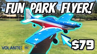 Volantex RC P-51D Mustang Plane | Fun FLYER For CHEAP!