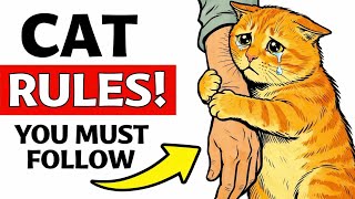 The Unspoken 7 Rules Cats Expect You To Follow.