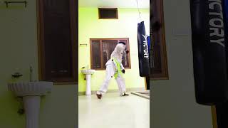 Combination Of Kick+Punch In Taekwondo_ #taekwondo #martialarts #shorts