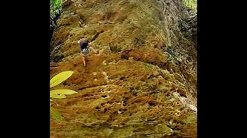 Stunning The Hog 5.12d Left Flank Red River Gorge Climbing Kentucky