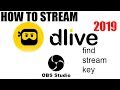 How to stream on dlive  find streamkey