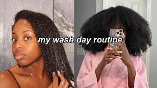 WASH DAY ROUTINE FOR MOISTURE ON THICK DRY NATURAL HAIR (type 4) ‍♀✨