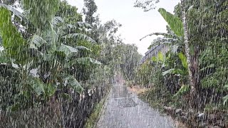 WALKING IN HEAVY RAIN | DEEP SLEEP WITH HEAVY RAIN IN THE INDONESIAN RURAL VILLAGE