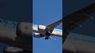 🇰🇷🔥 Korean Air B787-9 / HL8084 | RKSI Go Around #ICN #aviation #aircraft #B787 #Goaround