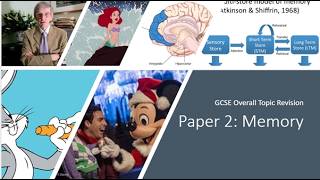 OCR GCSE Psychology Paper 2 Memory topic summary