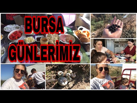 BANA ÖZEL KAHVALTI❌DAYIMIN ÇİFTLİĞİNİ GEZDİK❌BURSA AKHİSAR GÜNLERİMİZ NASIL GEÇİYOR❌