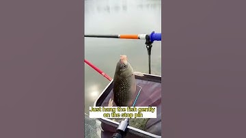 Tìm Ra Cây Gỡ Lưỡi Câu Siêu Tốc, 1 CHẠM Siêu Tiện Lợi #🎣#fishing #shorts