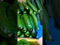 vegetable food 🌱🥕🥦#shortvideo #viral #shorts ❤️👍🥕🌱🌿