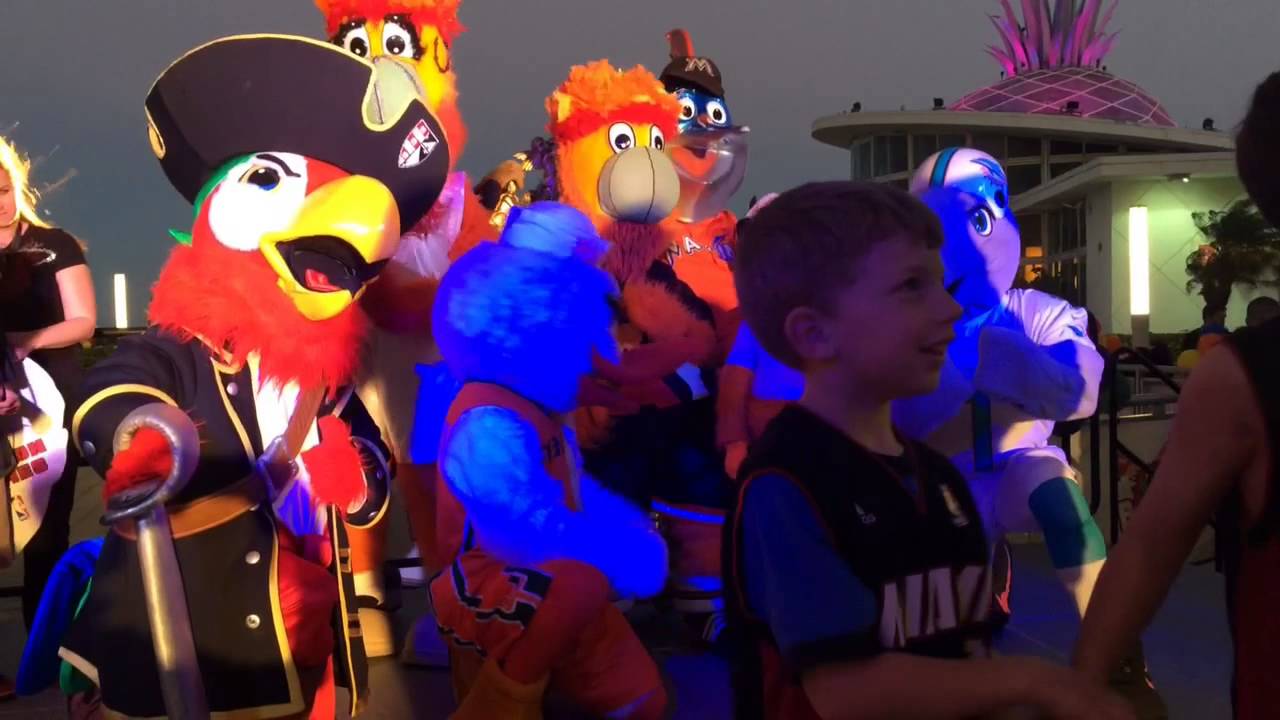 Being The Miami Heat Mascot  Celebrating #NationalMascotDay with