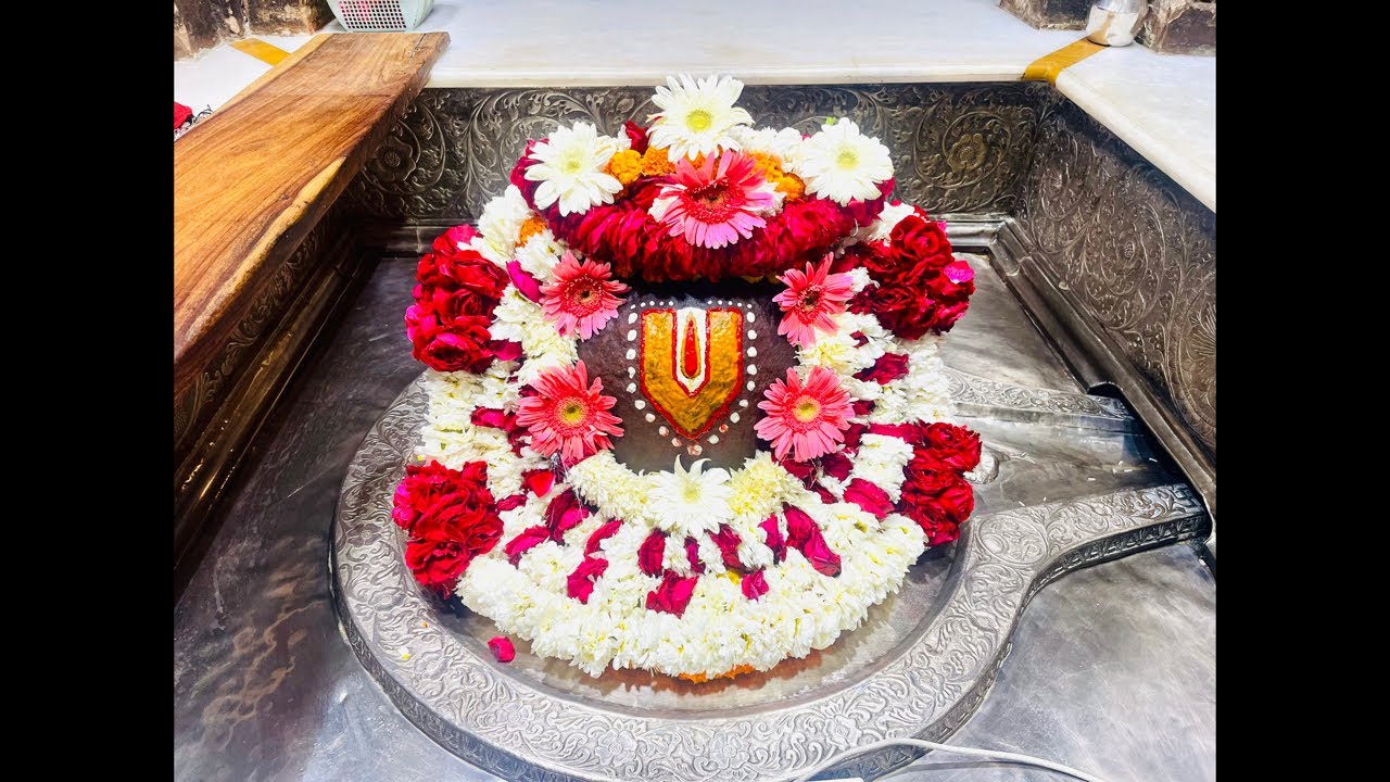 LIVE | 17 Jan Saturday Evening Aarti | Balkeshwar Dham