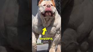 Top 3 Most Powerful Dogs in the World‼️😱 #animals #facts #wildlife#animals #top5 #didyouknow