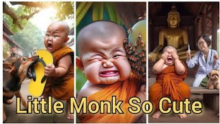 Selfi Little Monk | Cute Little Monk | Little Monk | So Cute Little Monk