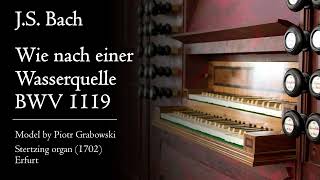 Bach - Wie nach einer Wasserquelle, BWV 1119 - Stertzing organ (1702), Erfurt, Hauptwerk