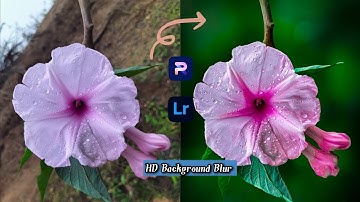 Blur Background Image | Lightroom Colour Grading | Mobile Photo Editing Tutorial | PhotoRoom Edit